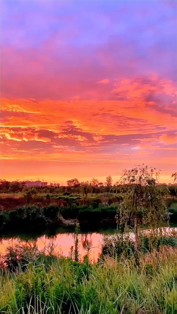 日落西山暮，黄昏本无意，夕阳留不住，晚霞却有情！日落夕阳美景夕阳风景照