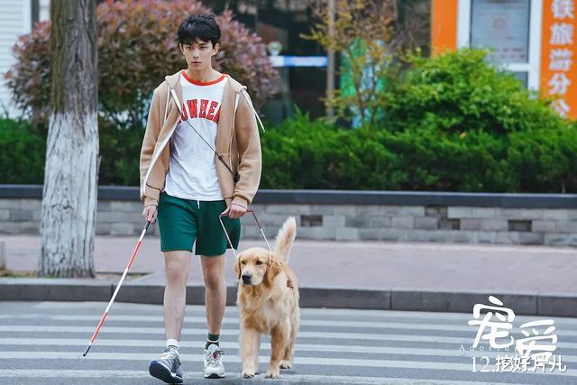 《宠爱》2天狂收2.48亿! 连续霸榜11天的《叶问4》被赶下宝座! 徐峥厉害