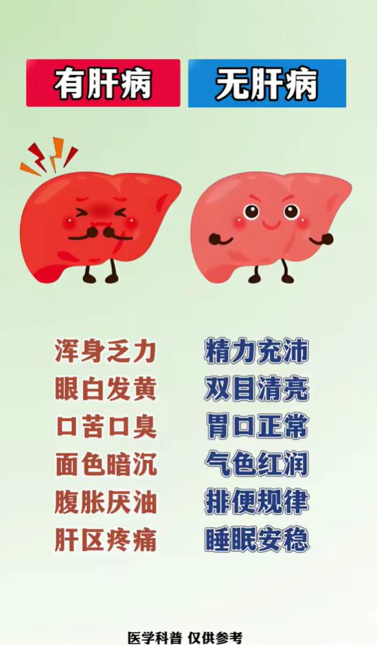 浑身乏力、口苦口臭、肝区疼痛，多是肝脏发出的求救信号