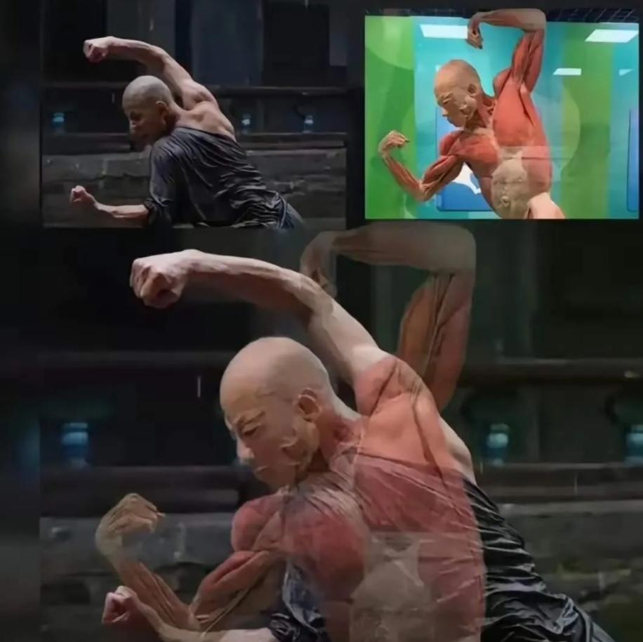 国家真的要好好管控好日本间谍了,防止日本间谍伤害我们的青年,文化渗透更要警惕!