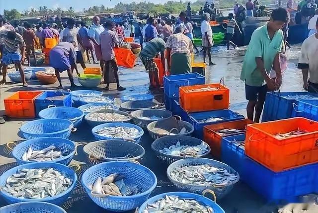就在刚刚！印度开始着急了！最厉害的还是我们祖国！中国暂停进口日本的水产品后，印度