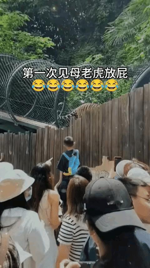 "没眼看呀[捂脸哭]"！这是发生在南京动物园的一件事。一老虎竟然冲游客放了一个屁，