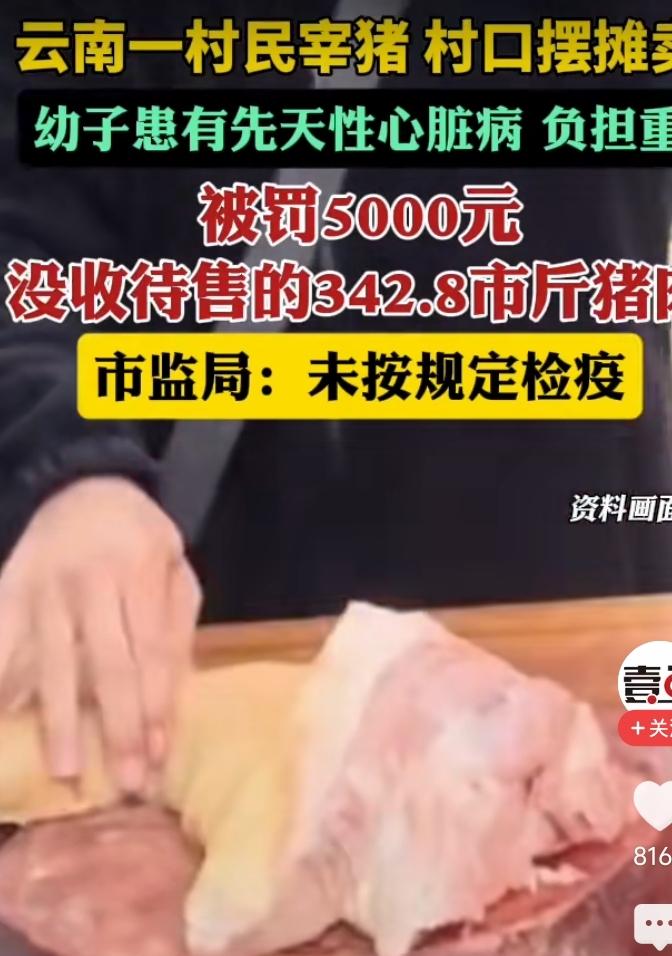 云南一农户养了一头毛猪宰杀后打算卖钱贴补家用，还没有卖出去一毛钱，就被判定为违法