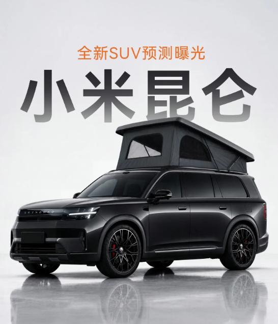 你发现没？为什么总是雷总在发现需求、创造需求、满足需求、解决需求......