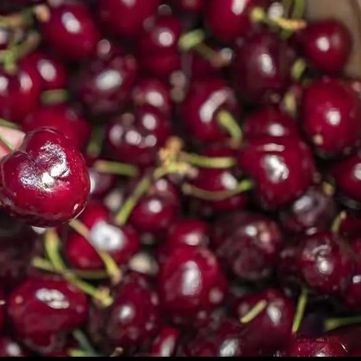 今年车厘子便宜成这样却越来越少人敢买为什么呢？不是因为它不好吃，而是每次买都