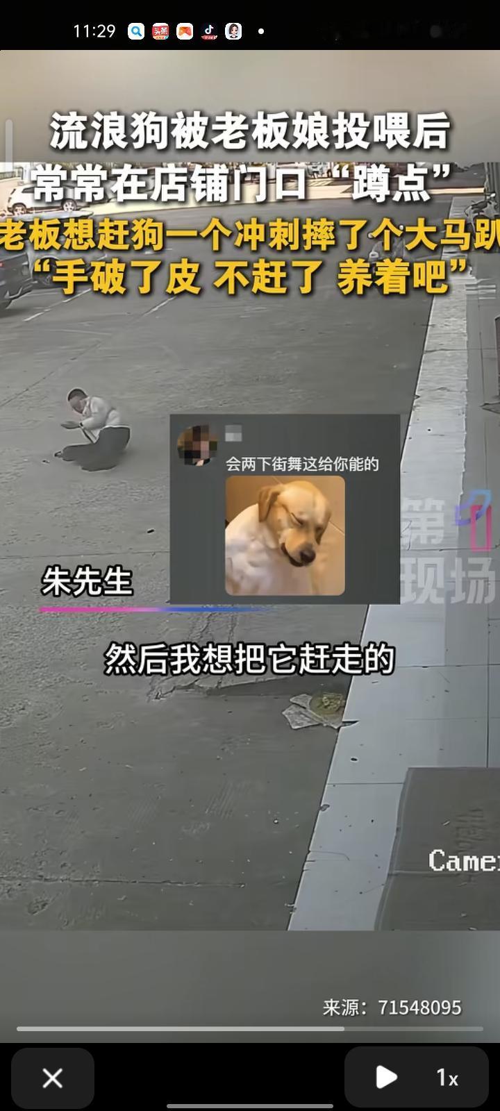 11月19日，盐城市滨海县。流浪狗被老板娘投喂后，常常在店铺门前“蹲点”。老板想