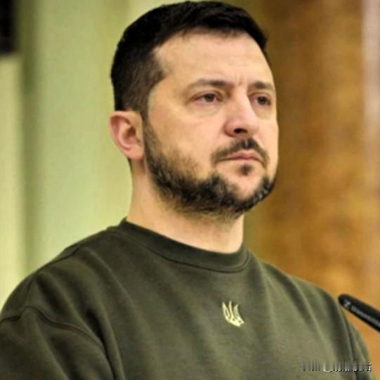 泽连斯基是欧美的“战争代理人”，目的是消耗和拖垮俄罗斯，让欧美这些国家以后能够放