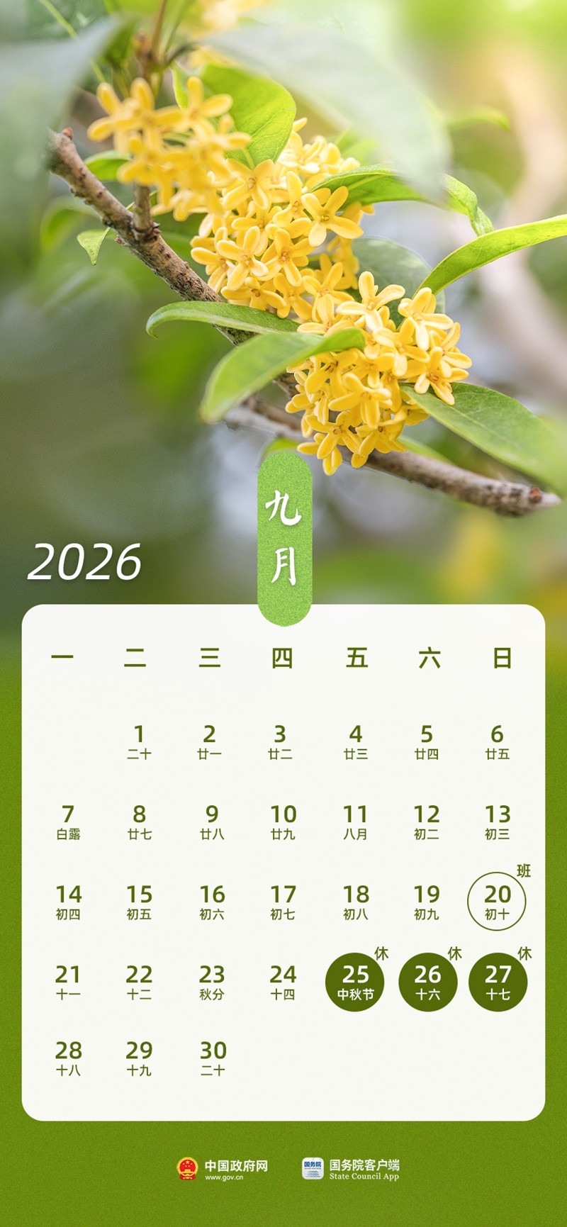 定了！2026中秋放假3天不调休，还有两个重要提醒别踩坑刚刷到官方通知，今年中秋放假安排终于落定了！