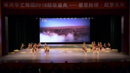 《红梅赞》表演及教学 中老年民族舞蹈 - 56网