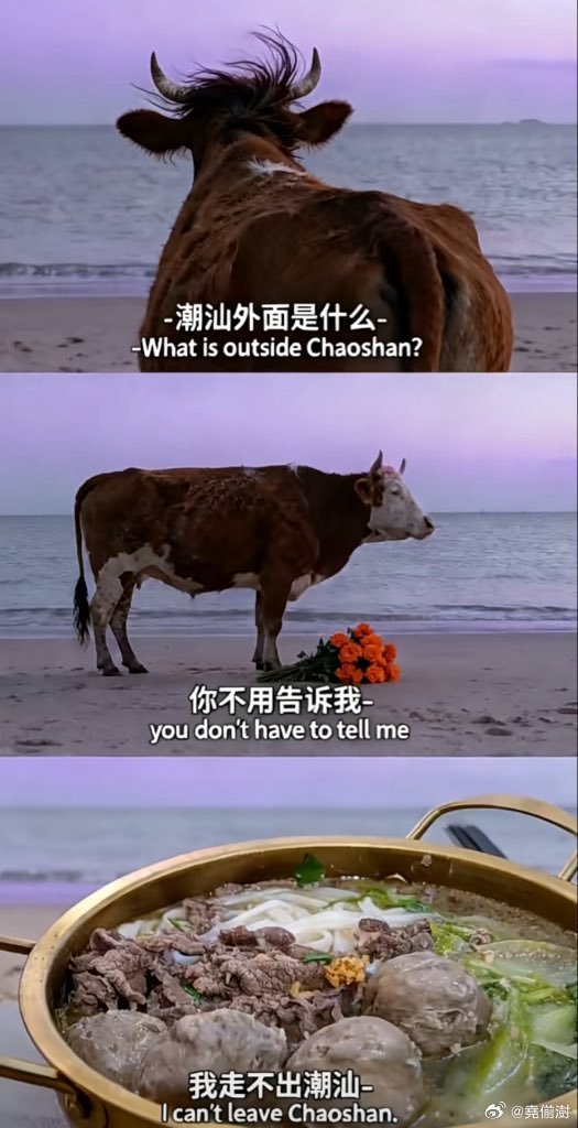 这是什么梗？[笑着哭][笑着哭][笑着哭]热点观点​​​