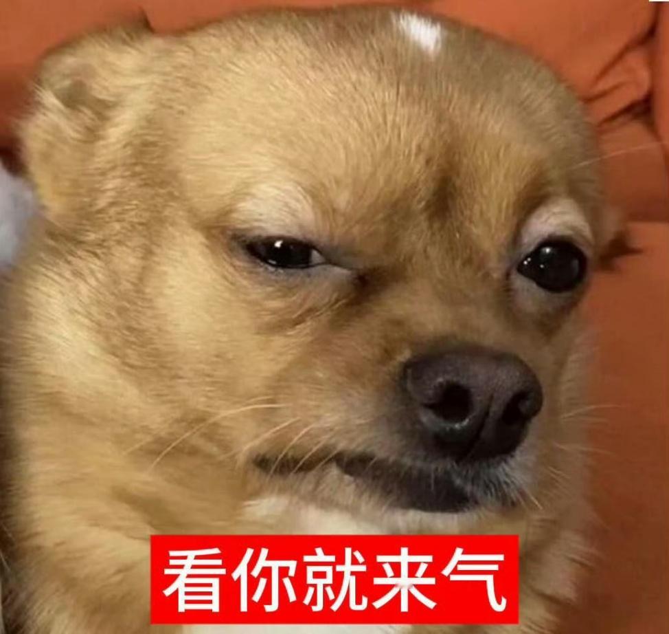 成毅第七有一个道理望周知，如果一个比赛只比投票，人气公认高的如果在第七，那肯定不