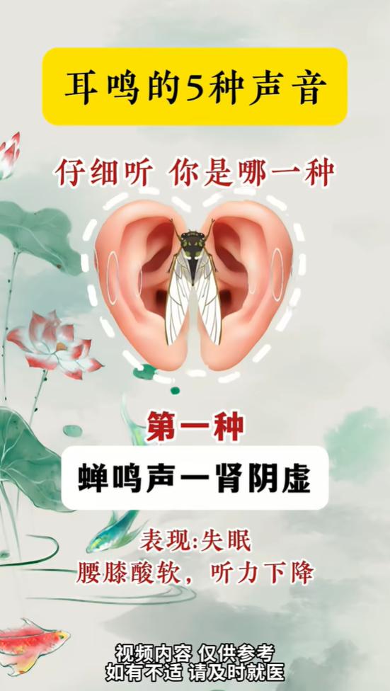 五种耳鸣声响对应五脏，对照看看你是哪一种？