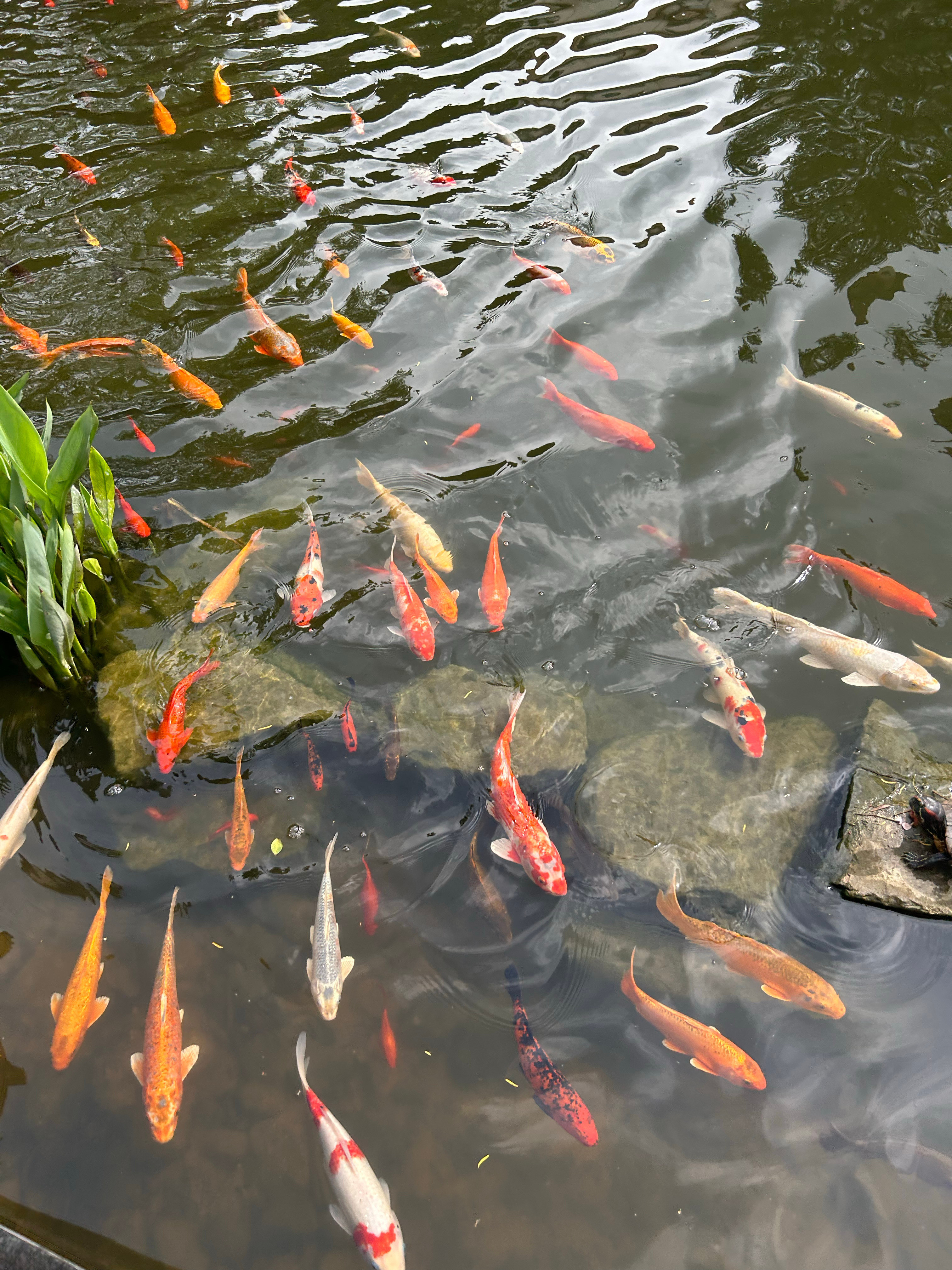 “人在阳间，梦是阴间的桥”这阵子突然梦见已故长辈，不是你想他，是他想你了，顺道来