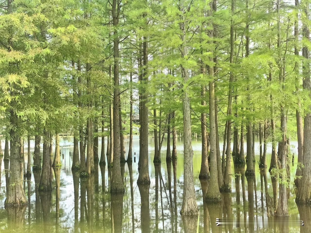 总结一下失业找工作的感受自8月初失业后，我投递简历超30家，收到6家面试邀约，