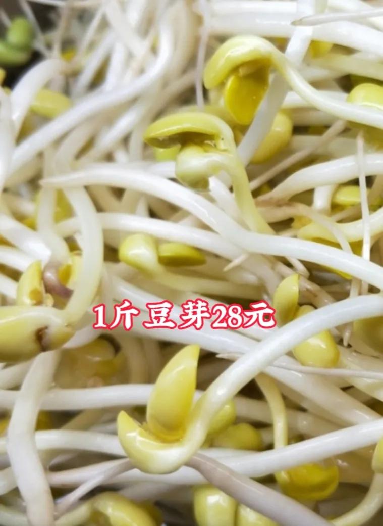 近日，杨国福麻辣烫因豆芽售价28.8元/斤引发热议。客服回应称，全国门店定价不统