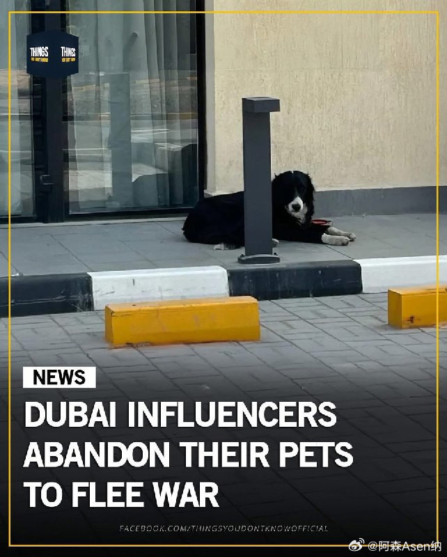 2026年3月初，伊朗导弹袭击阿联酋后，数千名外籍人士涌向迪拜逃离冲突。然而，在