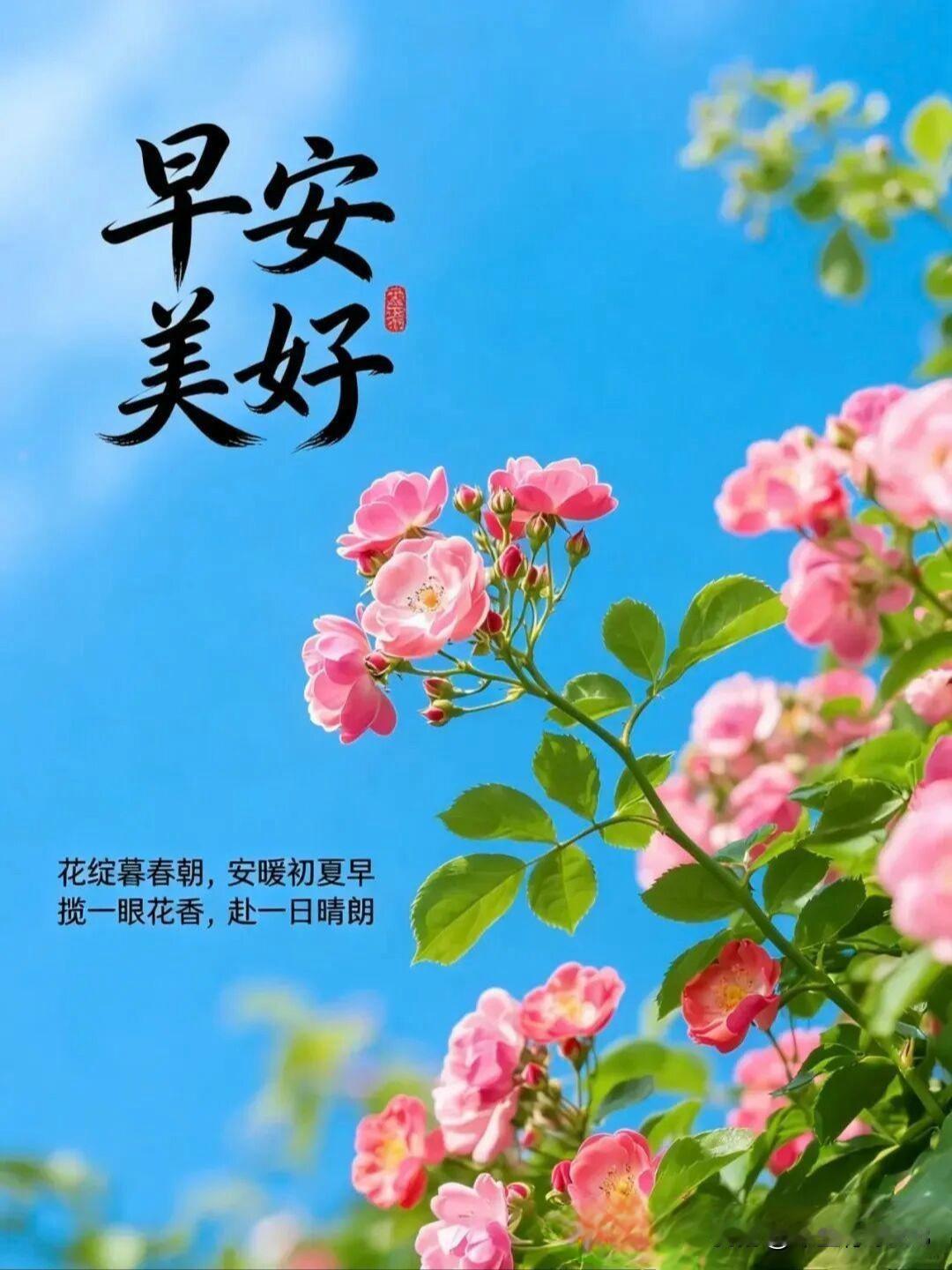 浅夏启新，岁岁安然告别春日温柔，奔赴夏日清欢。愿日子清宁无