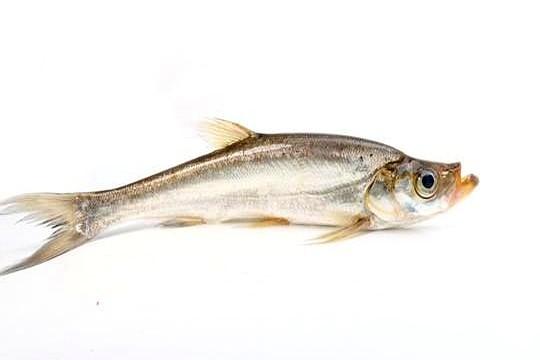 你花398块买的钓鱼小药，撕开包装一看，就是2块钱的草莓香精。人家管这叫“