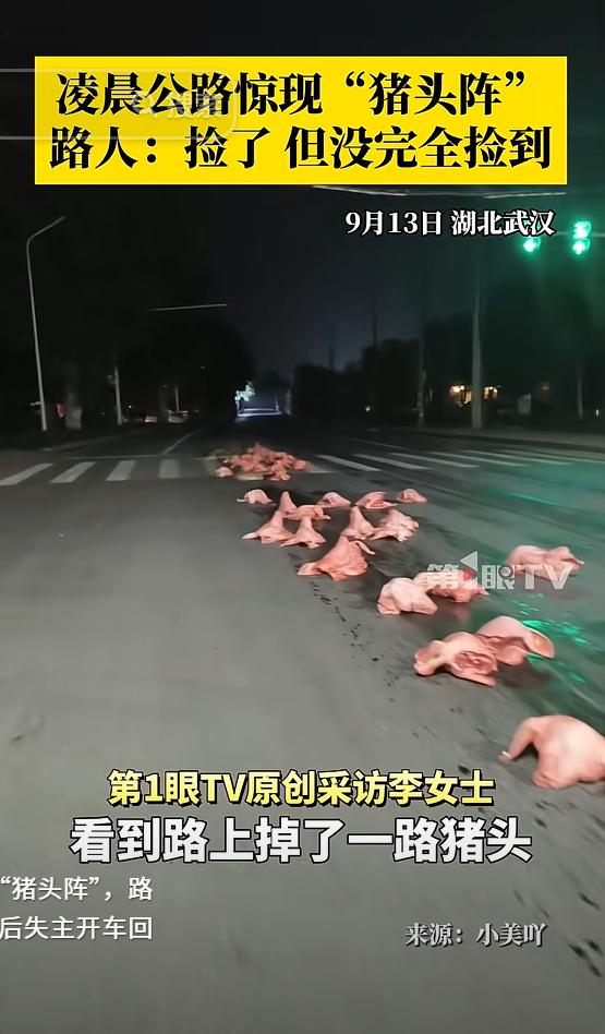 笑不活了！湖北武汉，凌晨一两点，女子看到路上全是猪头，至少有四五十个，女子目瞪口