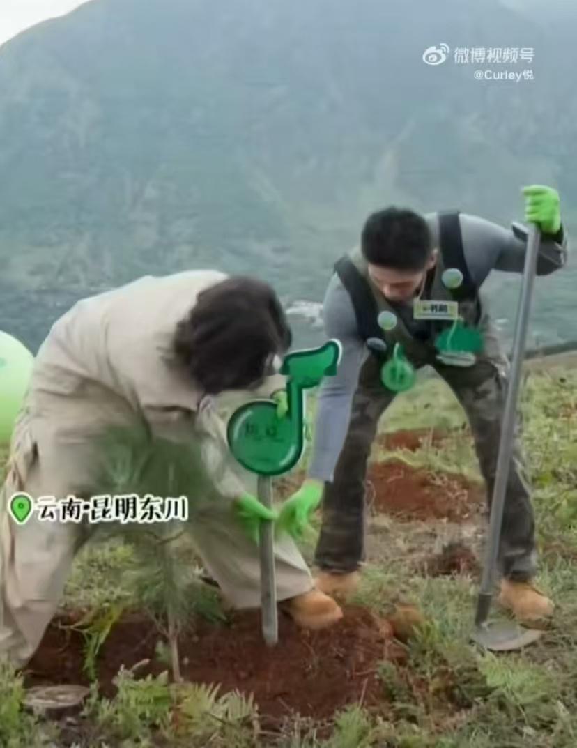 希林娜依高种树使不完的牛劲希林娜依高种树时，浑身散发着使不完的牛劲，每棵树苗都