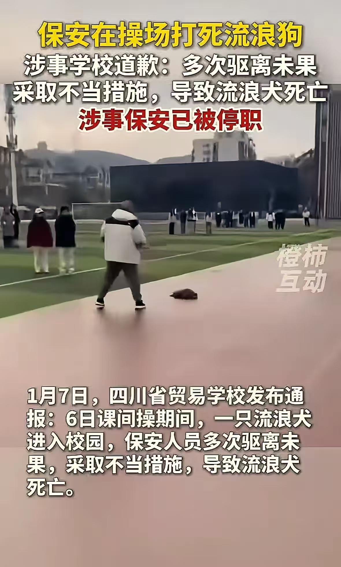 正常的事为什么道歉，为什么开除保安？四川雅安一校园内溜进一只流浪狗，正值