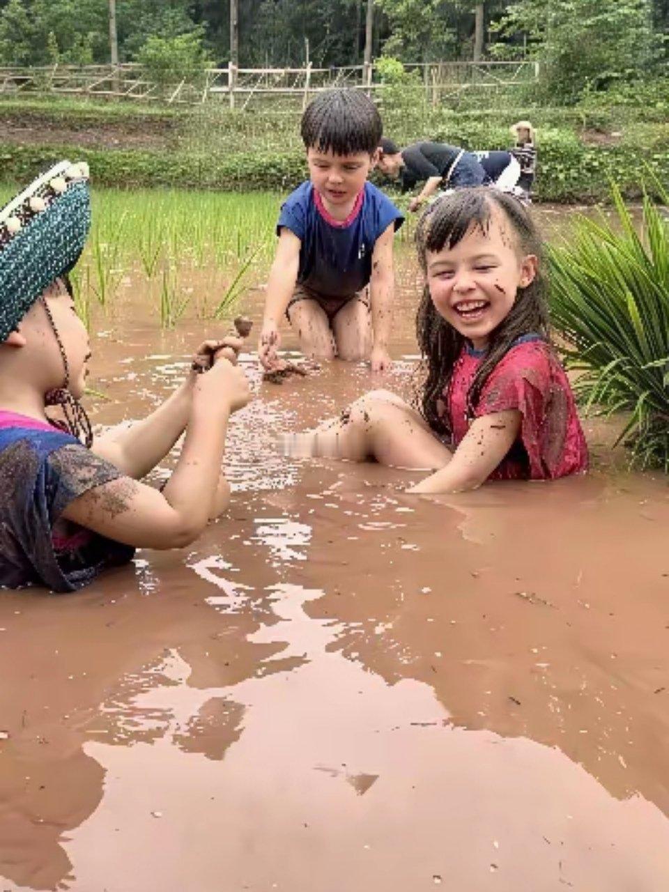 南充的美国女婿马大哈种地一流的