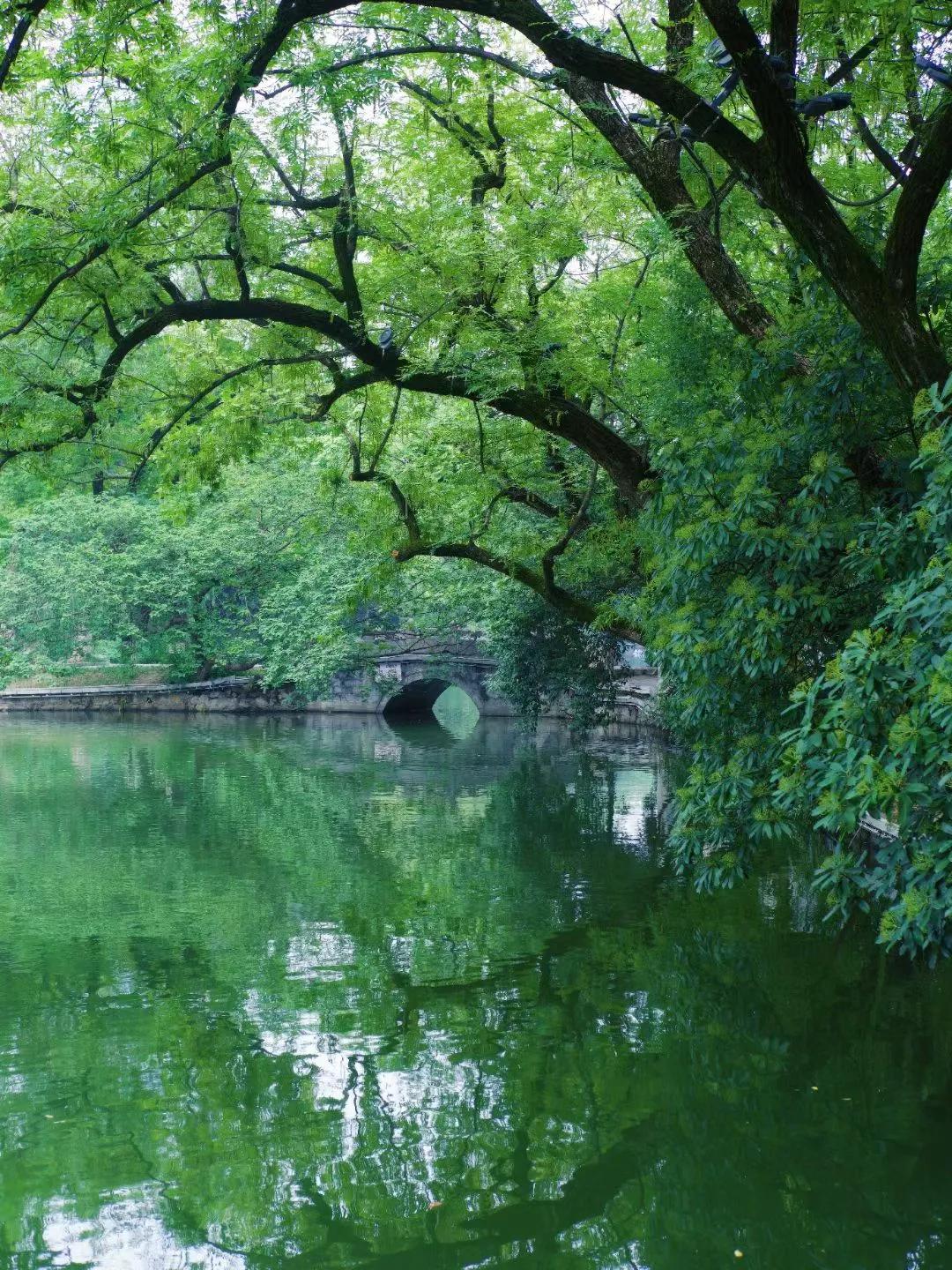 这样的老年人才是人间清醒！小区里有位七十岁的张爷爷，退休后既不帮子女带娃，也不