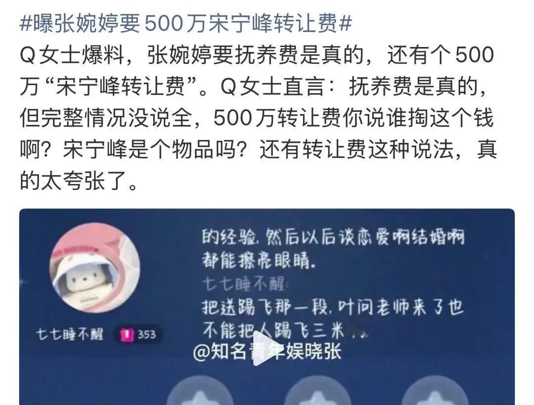 张婉婷开口500万，宋宁峰被标价，第三方沉默4月19日，张婉婷向那位“想带宋宁