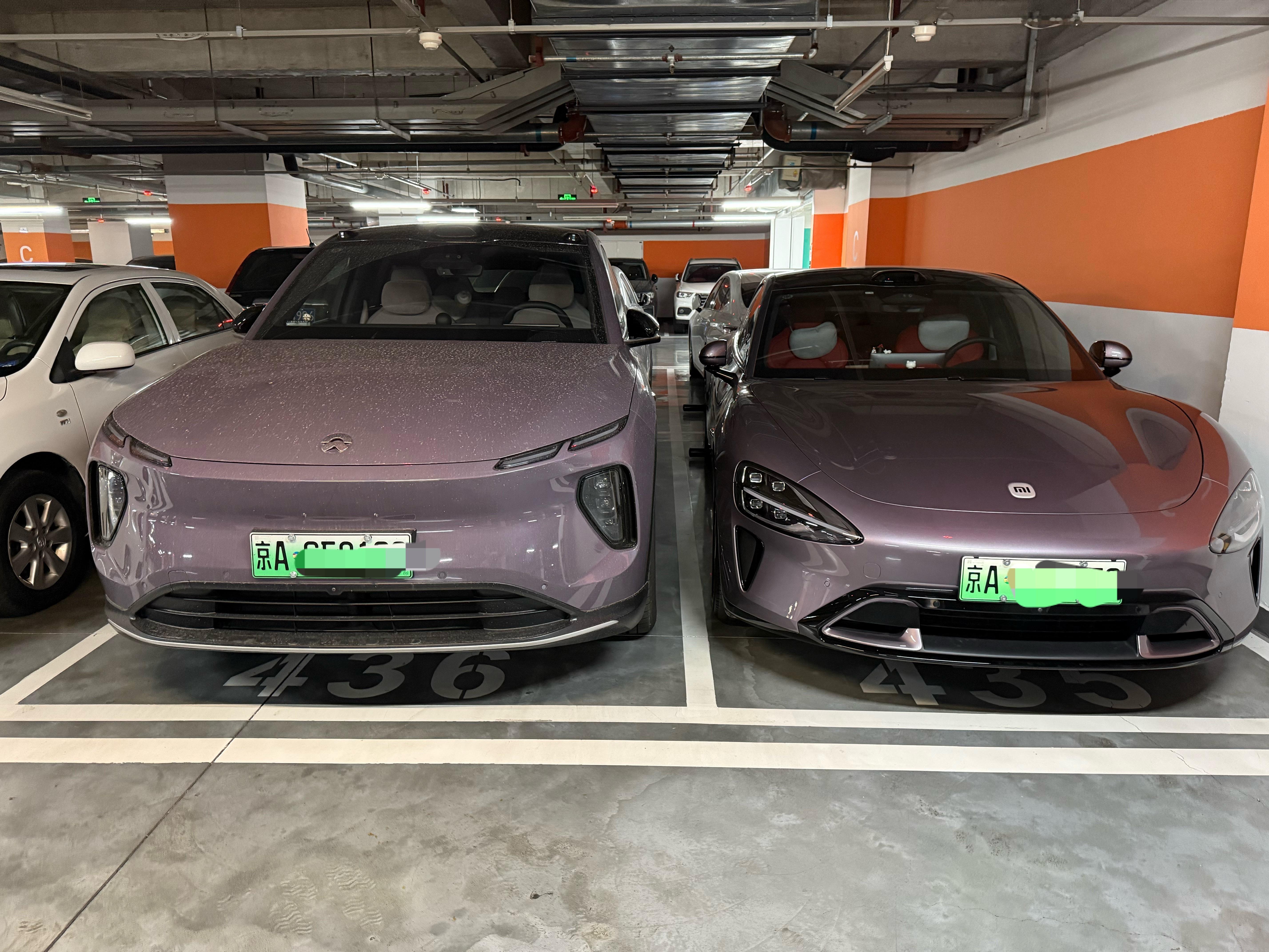 两个紫色，你喜欢哪个？​​​