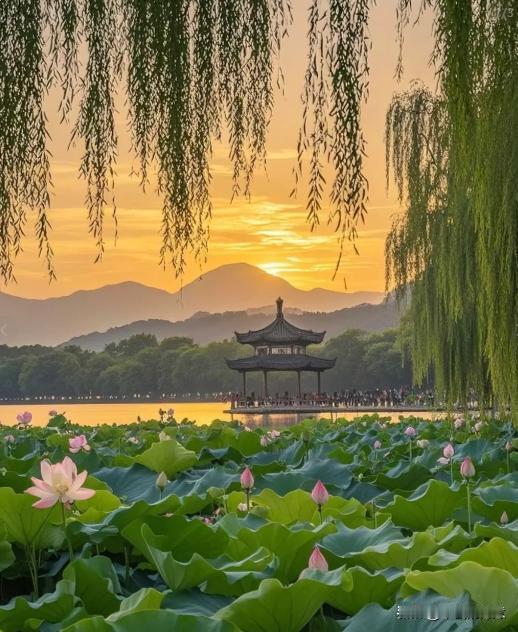 看着朋友圈发现感慨大部分的大学同学都已经不再从事与大学专业相关的行业了。大二