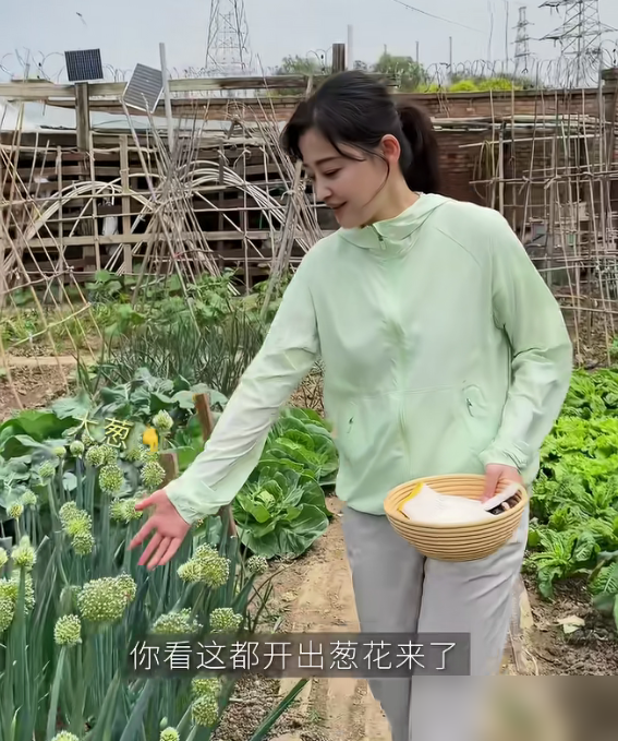 梅婷穿着绿外套蹲地里薅菜，转身就端上桌炒了。那视频里她跟73岁公公推小车、撒羊粪，一点没女明星包袱。