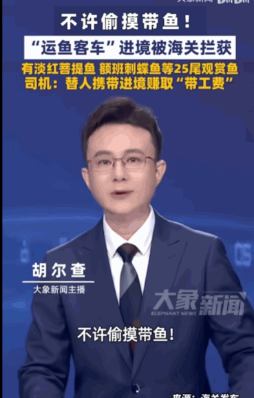 “人为财死，鸟为食亡”据媒体5月14日报道，港珠澳大桥海关通报一起违规入境案例：