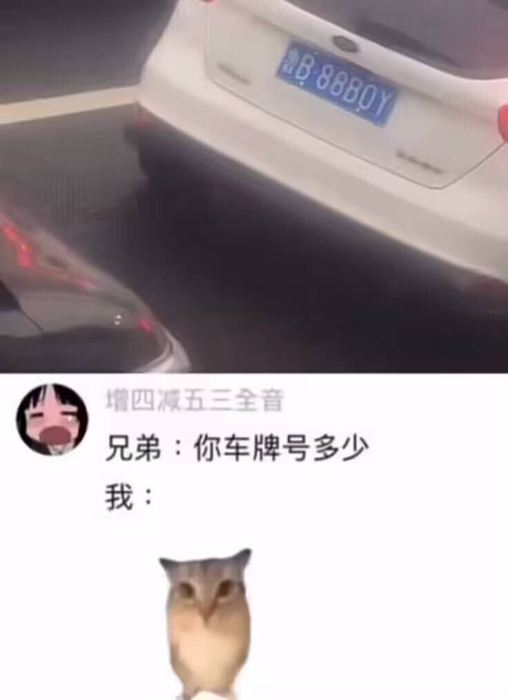 这让我怎么说啊