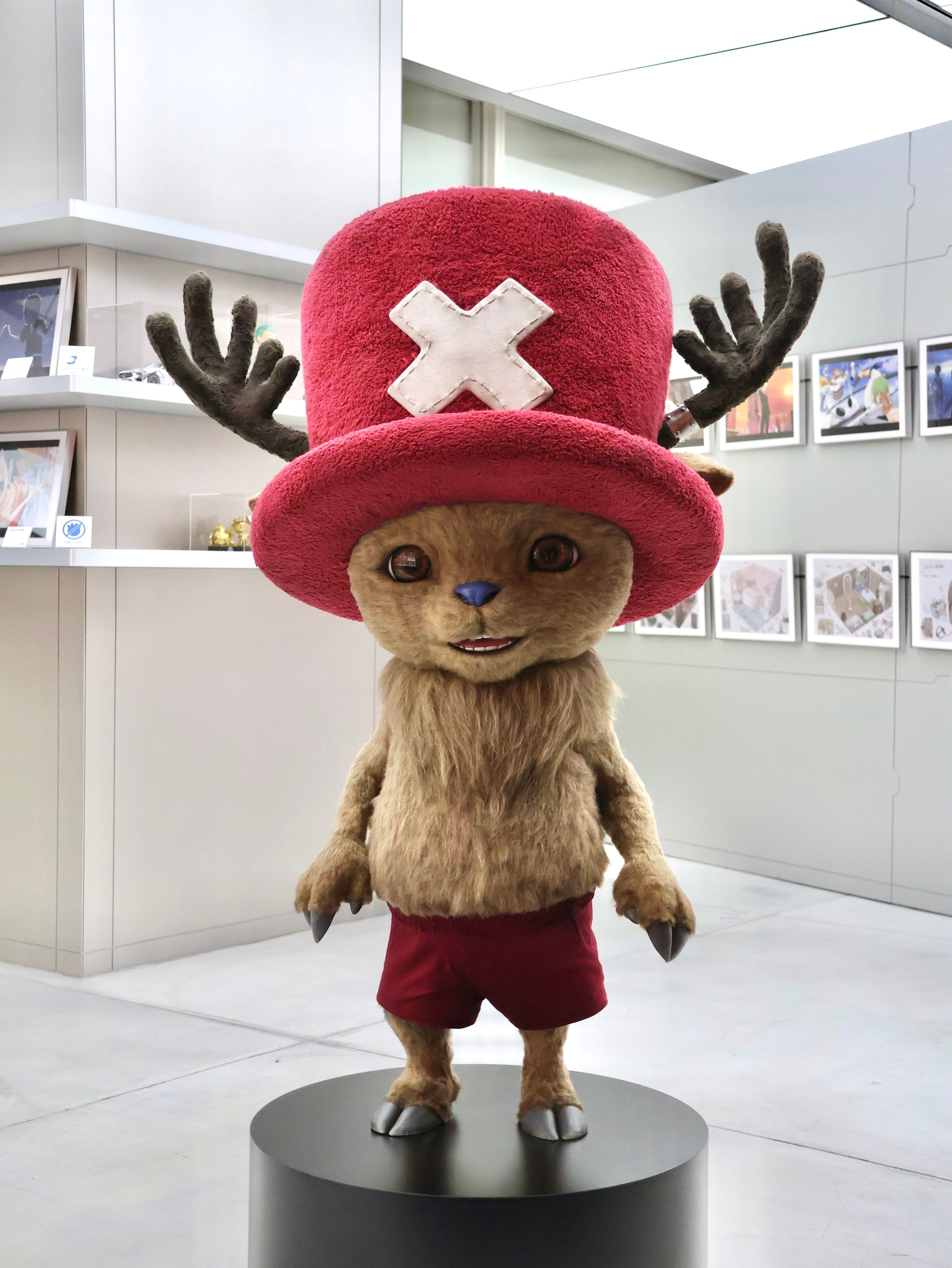 自今天2026年4月25日起，海贼王官方旗舰店ONEPIECEBASESH