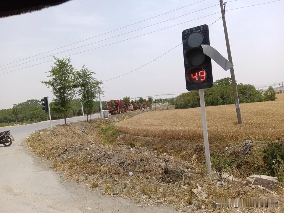 邓州小麦开割了，虽然天气干旱，但收成还不错，浇过水的亩产达到一千多斤。周日下午