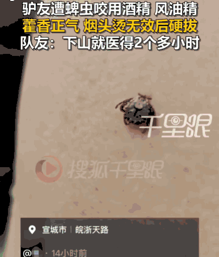太可怕了！安徽宣城，一男子徒步至半山腰时，不幸被蜱虫紧紧咬住。因下山就医需两小时