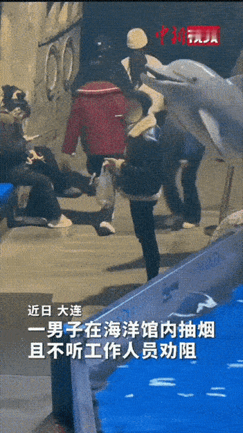 “笑不活了！”男子在海洋馆内抽烟，工作人员见状急忙跑上前劝阻“先生，这里禁止吸烟
