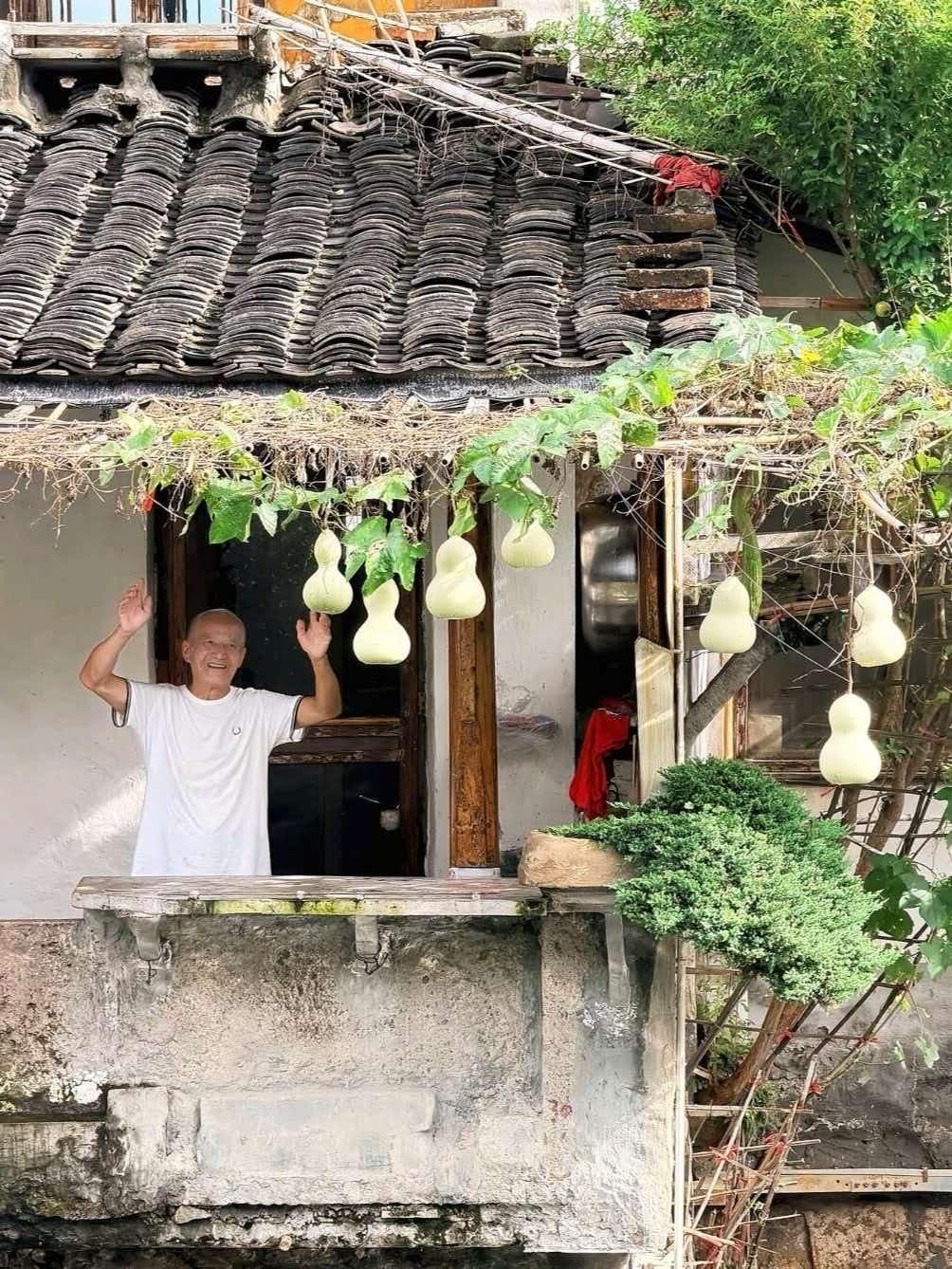 葫芦娃爷爷剪掉葫芦，我不奇怪，但有一个问题，不好意思问，怕大家觉得我是乡巴佬