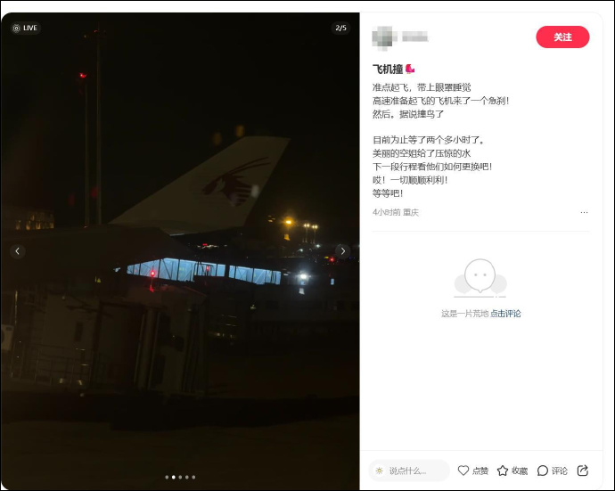 重庆飞卡塔尔航班, 滑行时突然急刹! 疑似撞鸟