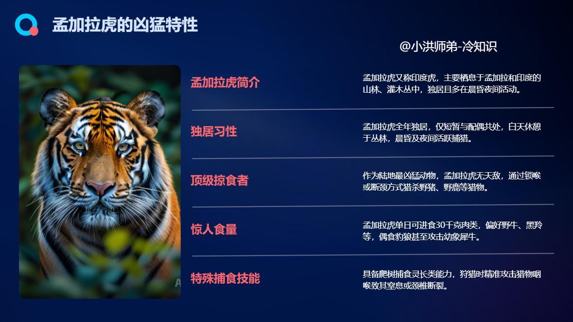 最凶猛的陆地哺乳动物孟加拉虎又叫“印度虎”，主要生活在孟加拉和印度。孟加拉虎一般