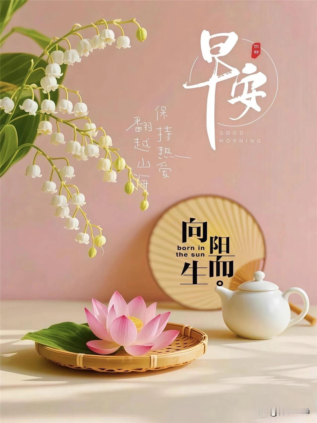 🌼²⁰²⁶/₀₈.₁₁ᵕ̈周二｜浅秋安暖🍂☕️浅秋晨风拂过，暑热慢慢消