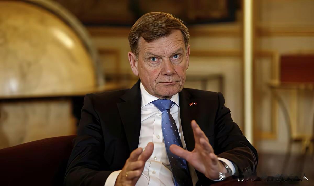 德国外长在新加坡公开放火，直接烧毁了中德互信的最后桥梁！他当众叫嚣宁可被美国踹开