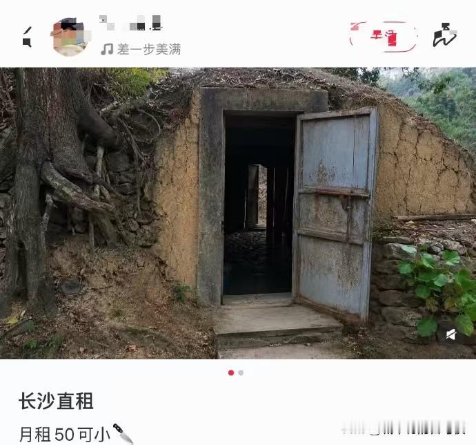 [捂脸哭]啊？？这东西50块钱一个月租金