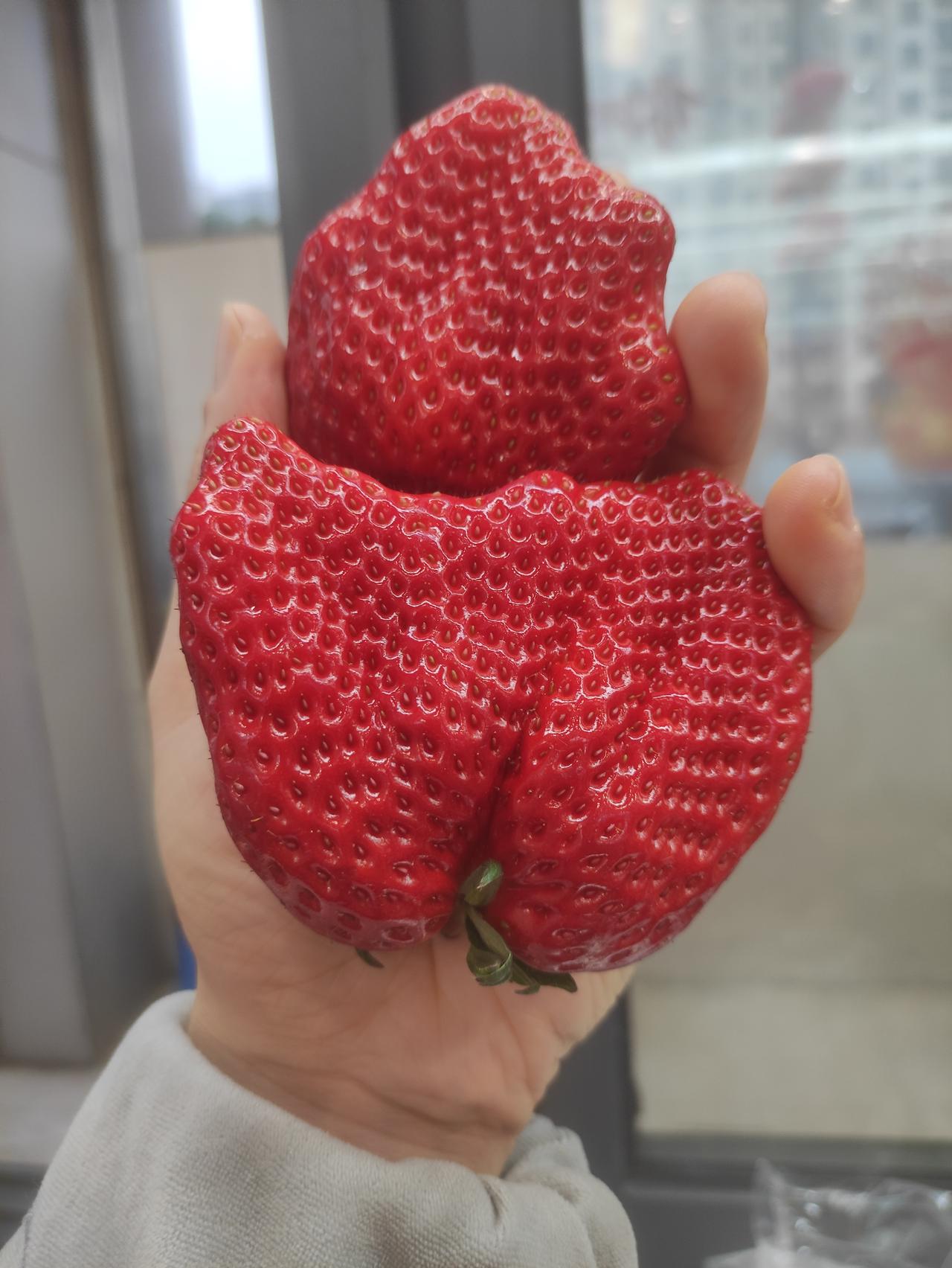 紫微斗数天机星天机星属于紫微星系，五行属木，也是颗命理玄学之星，代表善变，因