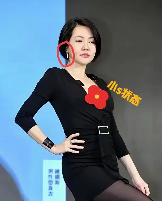 小S戴着大S的卡地亚猎豹项链和爱马仕凯莉包？价值260万的包，就那么轻轻松松