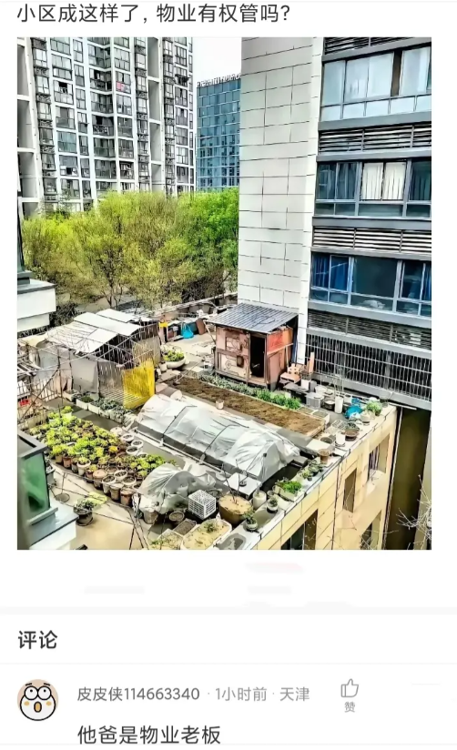 小区成这样了，物业有权管吗