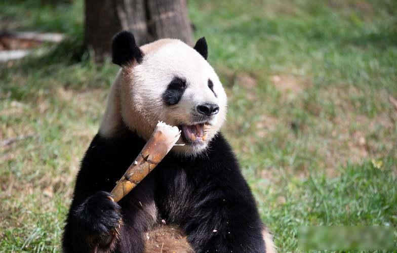 戴恩斯刚抵京，美方急着要订单，中方却在等一个更稳的局4月24号，戴恩斯提到他