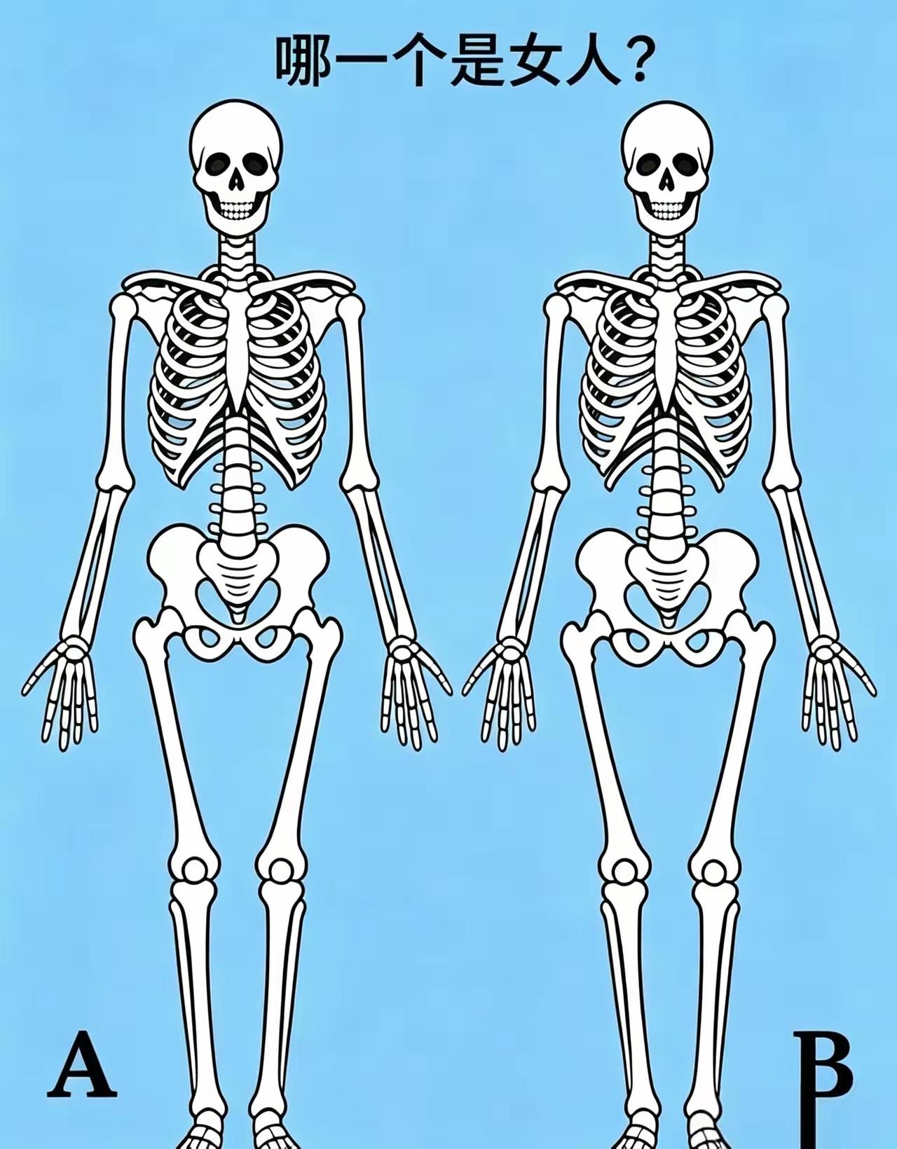 B是女的，女人盆腔骨就是比男人大，是为了将来怀孕孩子时能更好更稳地撑住胎儿。你们