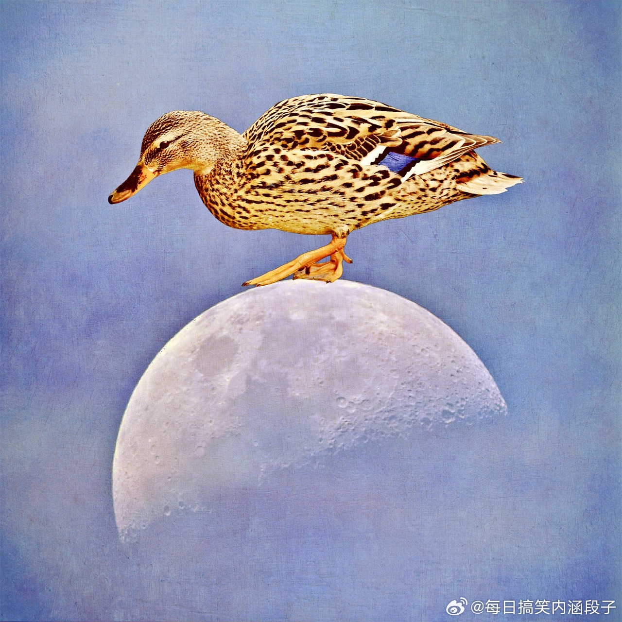 说真的，520朋友圈秀恩爱的变少，我猜是因为大家都发现，与其费心P图编...