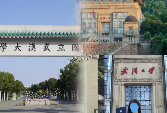 真是大快人心，香港浸会大学向杨某媛发出了录取通知，没过48小时，就因为“道德问
